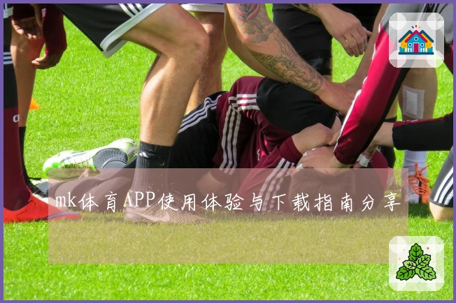 mk体育APP使用体验与下载指南分享