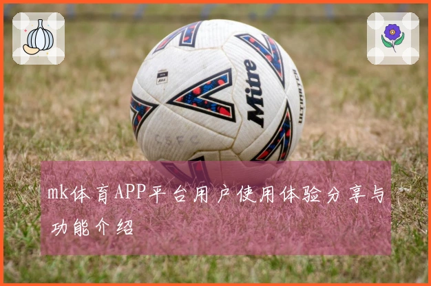 mk体育APP平台用户使用体验分享与功能介绍